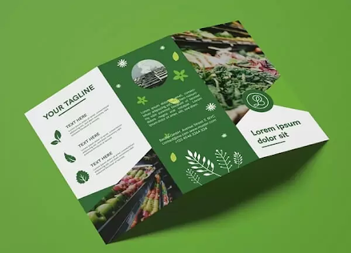 Thiết kế brochure công ty chuyên nghiệp